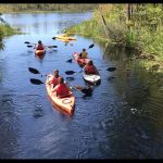 Photograph of students kayaking in coastal ecosystems