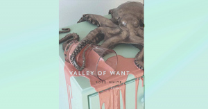 Cover to Ross White's new book 'Valley of Want'