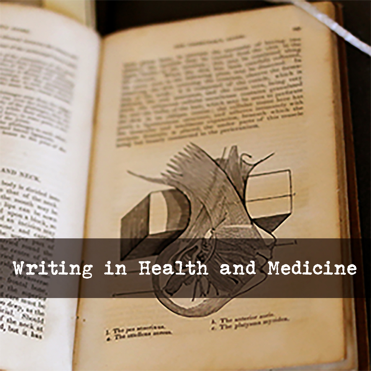 Writing in Health and Medicine
